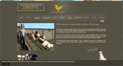Desktop Screenshot of gallinapadovana.net