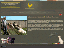 Tablet Screenshot of gallinapadovana.net